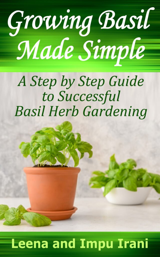 growing basil impu irani